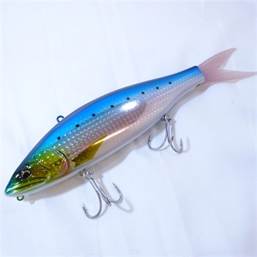 ＶＴジャック２３０イワシ